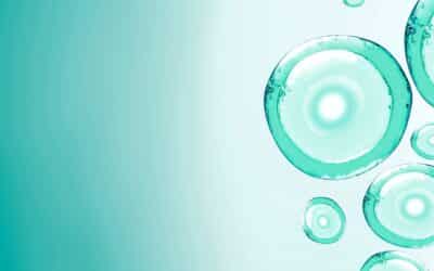 What You Need to Know About Egg Donors In Connecticut